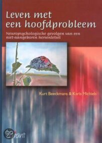 Leven met een hoofdprobleem. Neuropsychologische gevolgen van een niet-aangeboren hersenletsel