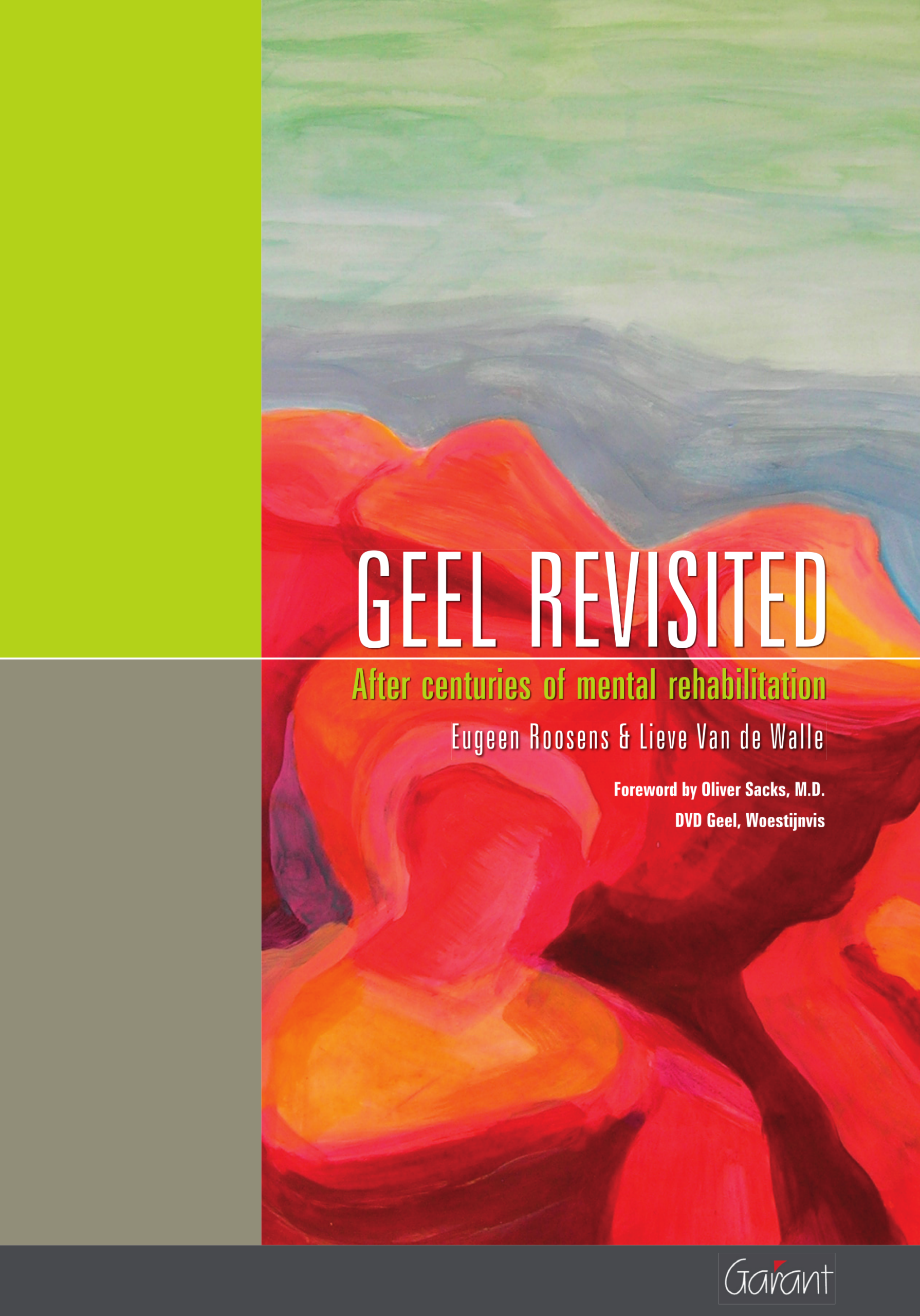 Geel revisited. After centuries of mental rehabilitation (met DVD)