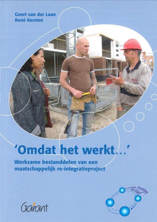 Omdat het werkt... Werkzame bestanddelen van een maatschappelijk re-integratieproject (Reeks Fontys Actief, nr. 1)