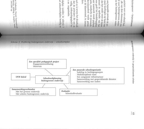 Buitengewoon gespecialiseerd. Onderwijs aan leerlingen met specifieke onderwijsbehoeften (S.O.B.-Katernen, nr. 7)