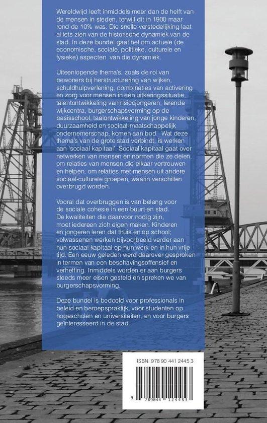 Overbruggen en verheffen. Werken aan sociaal kapitaal in de stad - Afbeelding 2