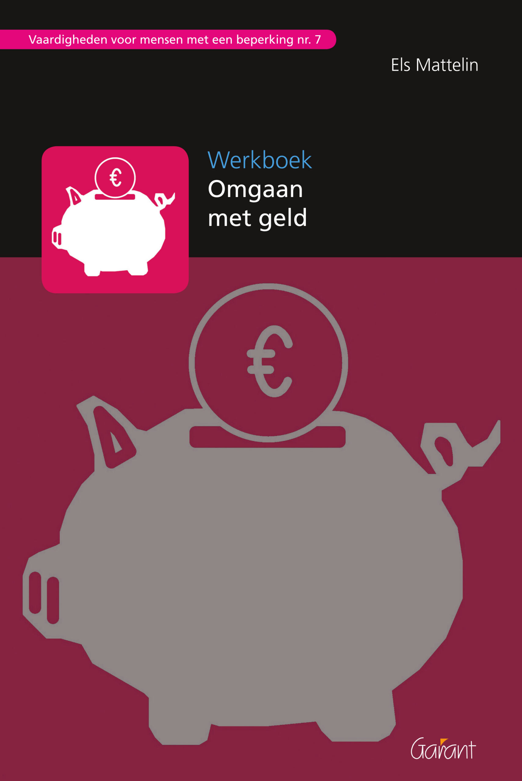 Vaardigheden voor mensen met een beperking nr. 7 - Werkboek Omgaan met geld