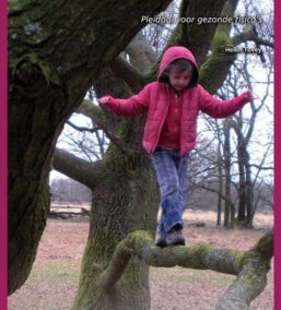 Laat ze buiten spelen. Pleidooi voor gezonde risico’s (Fontys Reeks Educatief, nr. 13)