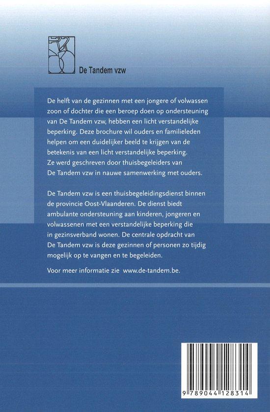 Mijn kind heeft een licht verstandelijke beperking!? Op weg naar beter begrijpen - Afbeelding 2