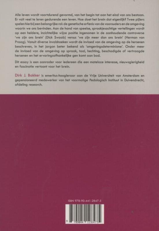 Wind in het grijze woud - Afbeelding 2