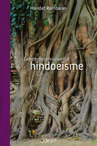 Levensbeschouwelijk hindoeïsme