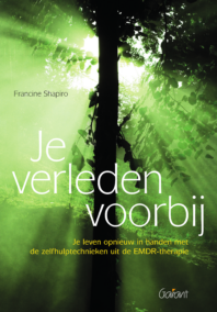 Je verleden voorbij. Je leven opnieuw in handen met de zelfhulptechnieken uit de EMDR-therapie