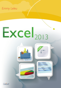 Excel 2013 (ICT-lijn, nr. 17)