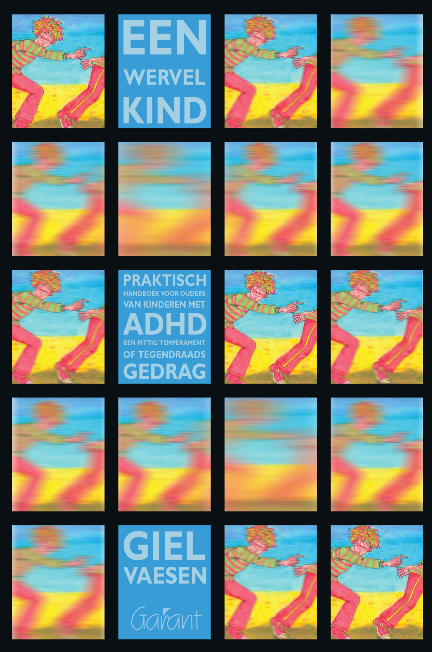 Een wervelkind. Praktisch handboek voor ouders van kinderen met ADHD, een pittig temperament of tegendraads gedrag