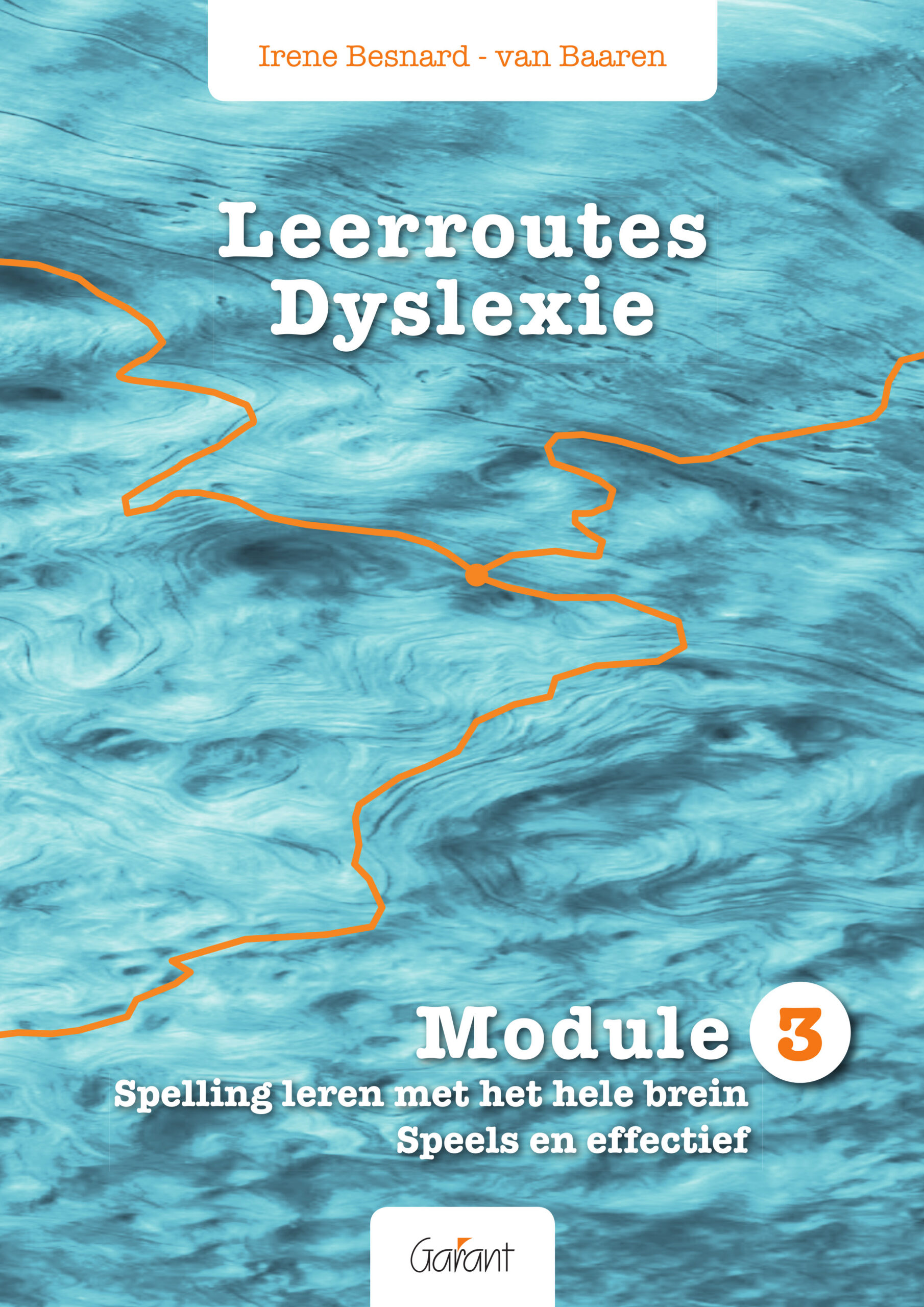 Leerroutes Dyslexie. Module 3: Spelling leren met het hele brein