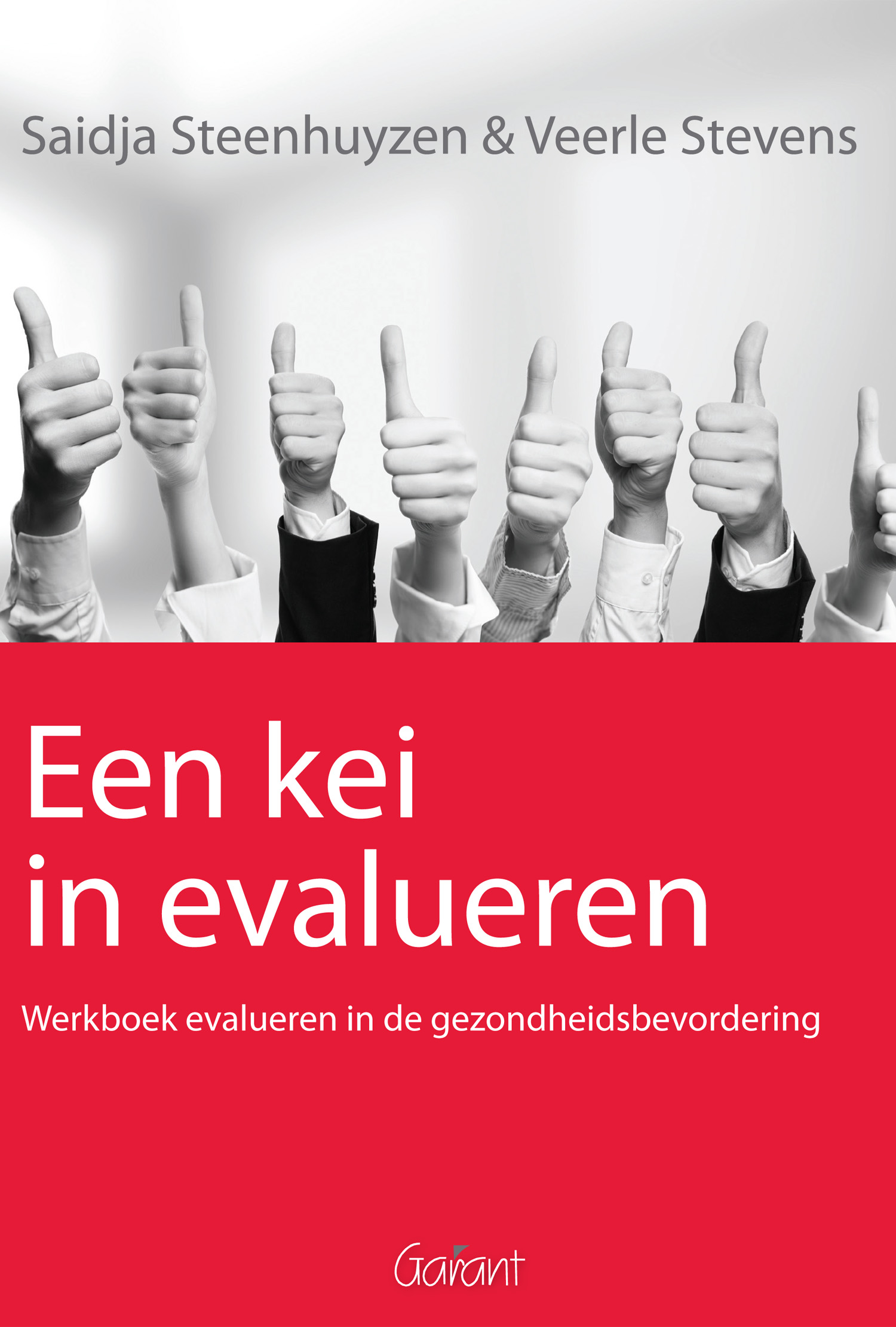 Een kei in evalueren. Werkboek evalueren in de gezondheidsbevordering