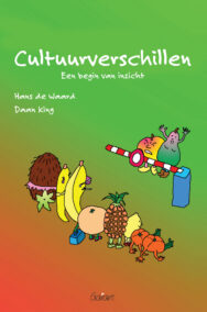 Cultuurverschillen. Een begin van inzicht.