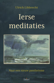 Ierse meditaties. Naar een nieuw pantheïsme
