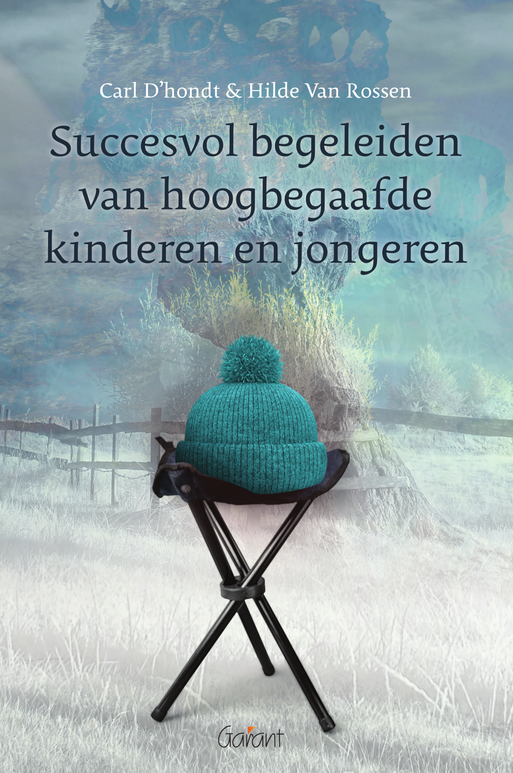 Succesvol begeleiden van hoogbegaafde kinderen en jongeren