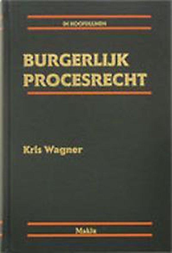 Burgerlijk procesrecht in hoofdlijnen