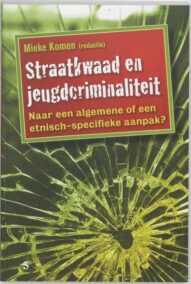 Straatkwaad en jeugdcriminaliteit. Naar een algemene of een etnisch-specifieke aanpak?