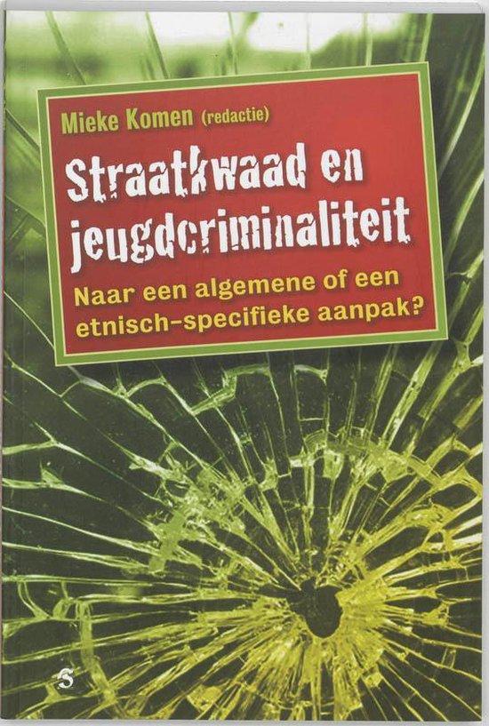Straatkwaad en jeugdcriminaliteit. Naar een algemene of een etnisch-specifieke aanpak?